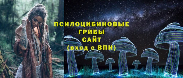 сатива Алексеевка