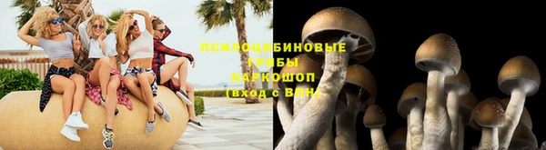 шишки Алексин