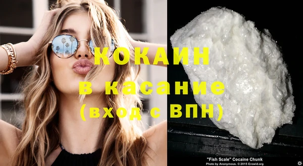 шишки Алексин