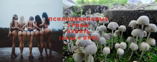 сатива Алексеевка