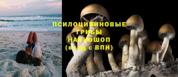сатива Алексеевка