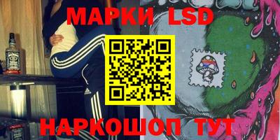 прущие грибы Абакан
