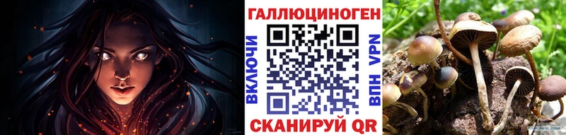 дарнет шоп Глазов Галлюциногенные грибы мухоморы