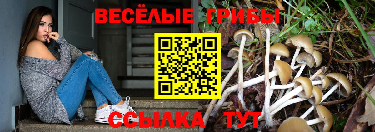 Псилоцибиновые грибы прущие грибы  Вход с VPN  Глазов  Галлюциногенные грибы GOLDEN TEACHER 